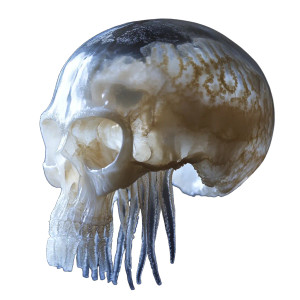 Jellyfish Skull Vinyl Car Decal Sticker – Waterproof & UV-Resistant 8" Jellyfish Skull Vinyl Car Decal Sticker – Waterproof & UV-Resistant 8"