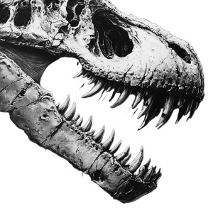 T-Rex Jawbones Vinyl Car Decal Sticker – Waterproof & UV-Resistant 8"
