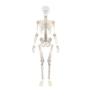 Abstract Transparent Skeleton Vinyl Car Decal Sticker – Waterproof & UV-Resistant 8"