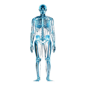 Full Body Ct Vinyl Car Decal Sticker – Waterproof & UV-Resistant 8"