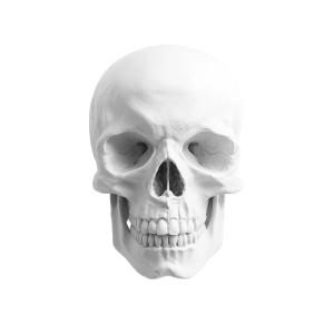 White Skull Rendering Vinyl Car Decal Sticker – Waterproof & UV-Resistant 8"