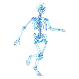 Frosted Glass Skeleton Vinyl Car Decal Sticker – Waterproof & UV-Resistant 8"