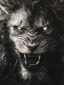 Fierce Lion Snarl Vinyl Car Decal Sticker – Waterproof & UV-Resistant 8"