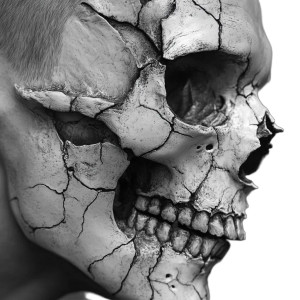 Realistic Skull V6 Vinyl Car Decal Sticker – Waterproof & UV-Resistant 8"