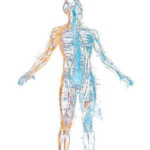 Analytical Body Scan Vinyl Car Decal Sticker – Waterproof & UV-Resistant 8" Analytical Body Scan Vinyl Car Decal Sticker – Waterproof & UV-Resistant 8"