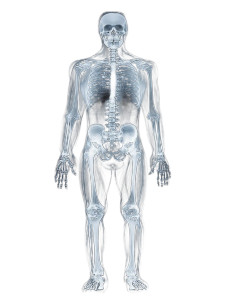 Future Human X-Ray V2 Vinyl Car Decal Sticker – Waterproof & UV-Resistant 8"