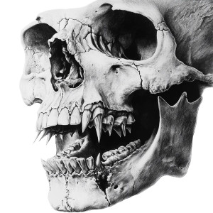 Sharp-Toothed Skull Vinyl Car Decal Sticker – Waterproof & UV-Resistant 8"