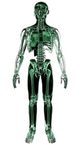 Robotic X-Ray Vinyl Car Decal Sticker – Waterproof & UV-Resistant 8"