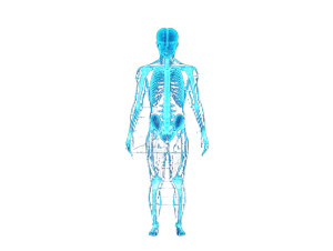 Holographic Medical Interface V2 Vinyl Car Decal Sticker – Waterproof & UV-Resistant 8"