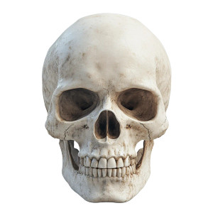 3D Human Skull V2 Vinyl Car Decal Sticker – Waterproof & UV-Resistant 8" 3D Human Skull V2 Vinyl Car Decal Sticker – Waterproof & UV-Resistant 8"