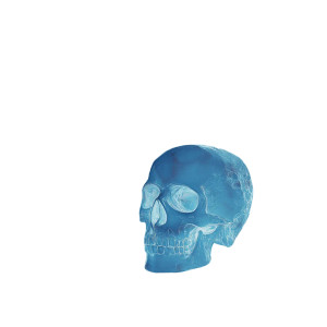 Ornamental Skull Decoration Vinyl Car Decal Sticker – Waterproof & UV-Resistant 8"