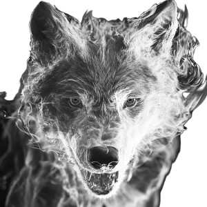 Transparent Wolf Snarling Vinyl Car Decal Sticker – Waterproof & UV-Resistant 8"