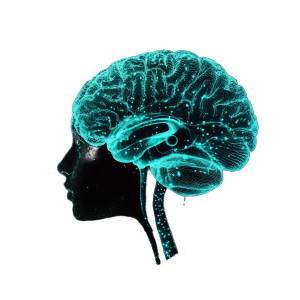 Holographic Brain Display Vinyl Car Decal Sticker – Waterproof & UV-Resistant 8" Holographic Brain Display Vinyl Car Decal Sticker – Waterproof & UV-Resistant 8"