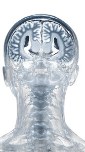 Mri Scan Head Vinyl Car Decal Sticker – Waterproof & UV-Resistant 8" Mri Scan Head Vinyl Car Decal Sticker – Waterproof & UV-Resistant 8"