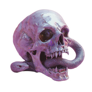 Skull Snake Nft Vinyl Car Decal Sticker – Waterproof & UV-Resistant 8"