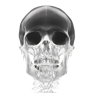 Xray Skull Bones Vinyl Car Decal Sticker – Waterproof & UV-Resistant 8"
