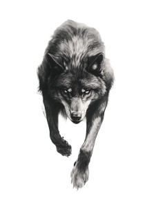 Dark Wolf Tattoo V2 Vinyl Car Decal Sticker – Waterproof & UV-Resistant 8" Dark Wolf Tattoo V2 Vinyl Car Decal Sticker – Waterproof & UV-Resistant 8"
