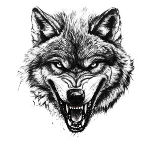 Angry Wolf Tattoo V2 Vinyl Car Decal Sticker – Waterproof & UV-Resistant 8"