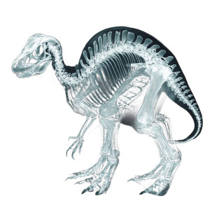 Dinosaur X-Ray V2 Vinyl Car Decal Sticker – Waterproof & UV-Resistant 8"