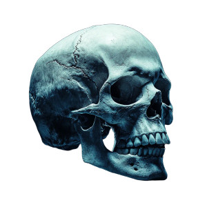 Cinematic Human Skull Vinyl Car Decal Sticker – Waterproof & UV-Resistant 8" Cinematic Human Skull Vinyl Car Decal Sticker – Waterproof & UV-Resistant 8"