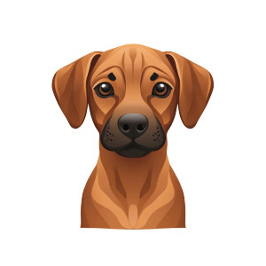 Ridgeback Puppy Icon Vinyl Car Decal Sticker – Waterproof & UV-Resistant 8"