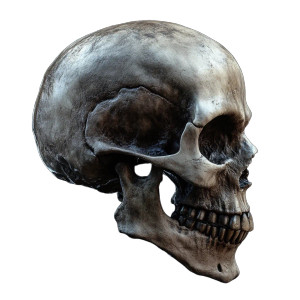 Evil Skull V2 Vinyl Car Decal Sticker – Waterproof & UV-Resistant 8"