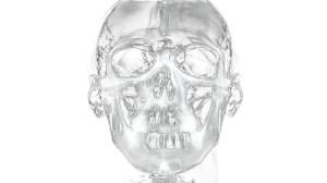 X-Ray Face V2 Vinyl Car Decal Sticker – Waterproof & UV-Resistant 8"