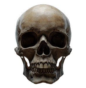 Hyper-Realistic Skull V2 Vinyl Car Decal Sticker – Waterproof & UV-Resistant 8" Hyper-Realistic Skull V2 Vinyl Car Decal Sticker – Waterproof & UV-Resistant 8"