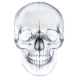 Forward Facing Skull Vinyl Car Decal Sticker – Waterproof & UV-Resistant 8"
