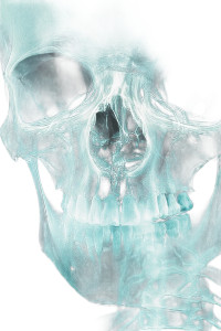 Spooky Skull X-Ray Vinyl Car Decal Sticker – Waterproof & UV-Resistant 8"