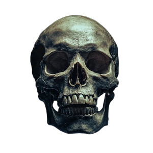Photo Real Skull Vinyl Car Decal Sticker – Waterproof & UV-Resistant 8" Photo Real Skull Vinyl Car Decal Sticker – Waterproof & UV-Resistant 8"