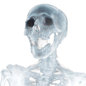 Screaming Skeleton X-Ray Vinyl Car Decal Sticker – Waterproof & UV-Resistant 8"
