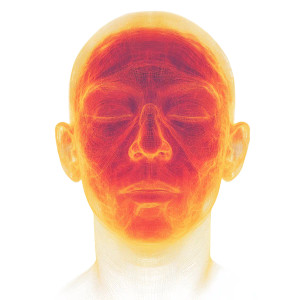Facial Heatmap Vinyl Car Decal Sticker – Waterproof & UV-Resistant 8"