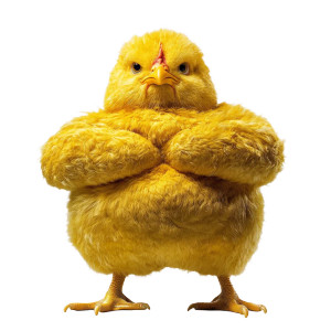 Muscular Yellow Chick Vinyl Car Decal Sticker – Waterproof & UV-Resistant 8"