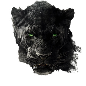 Majestic Hybrid Leopard Vinyl Car Decal Sticker – Waterproof & UV-Resistant 8" Majestic Hybrid Leopard Vinyl Car Decal Sticker – Waterproof & UV-Resistant 8"