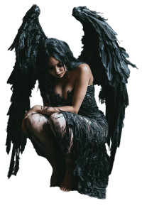 Shredded Angel Vinyl Car Decal Sticker – Waterproof & UV-Resistant 8"