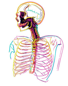 Neon Skeleton Drawing Vinyl Car Decal Sticker – Waterproof & UV-Resistant 8"