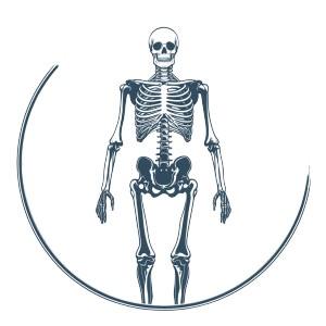 Radiology Skeleton Logo Vinyl Car Decal Sticker – Waterproof & UV-Resistant 8"