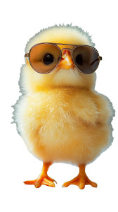 Chick With Sunglasses Vinyl Car Decal Sticker – Waterproof & UV-Resistant 8" Chick With Sunglasses Vinyl Car Decal Sticker – Waterproof & UV-Resistant 8"