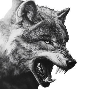 Aggressive Wolf Portrait V6 Vinyl Car Decal Sticker – Waterproof & UV-Resistant 8"