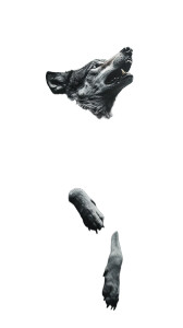 Aggressive Wolf Bursting Vinyl Car Decal Sticker – Waterproof & UV-Resistant 8"