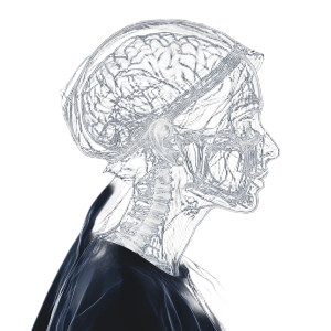 X-Ray Portrait Woman Vinyl Car Decal Sticker – Waterproof & UV-Resistant 8"