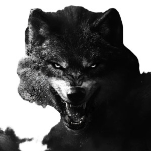 Majestic Wolf V2 Vinyl Car Decal Sticker – Waterproof & UV-Resistant 8" Majestic Wolf V2 Vinyl Car Decal Sticker – Waterproof & UV-Resistant 8"