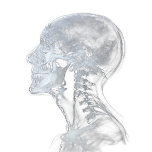 X-Ray Head V2 Vinyl Car Decal Sticker – Waterproof & UV-Resistant 8"