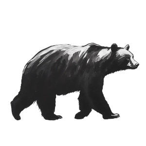 Walking Black Bear Vinyl Car Decal Sticker – Waterproof & UV-Resistant 8"