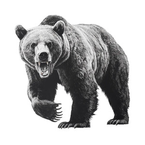 Roaring Grizzly Bear V19 Vinyl Car Decal Sticker – Waterproof & UV-Resistant 8"