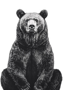 Minimalist Bear Drawing Vinyl Car Decal Sticker – Waterproof & UV-Resistant 8"