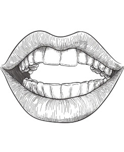 Human Mouth Drawing Vinyl Car Decal Sticker – Waterproof & UV-Resistant 8" Human Mouth Drawing Vinyl Car Decal Sticker – Waterproof & UV-Resistant 8"