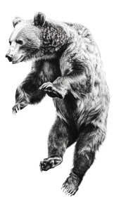 Falling Bear Sketch Vinyl Car Decal Sticker – Waterproof & UV-Resistant 8"