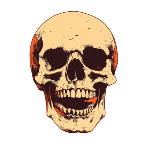 Smiling Skull Vinyl Car Decal Sticker – Waterproof & UV-Resistant 8" Smiling Skull Vinyl Car Decal Sticker – Waterproof & UV-Resistant 8"